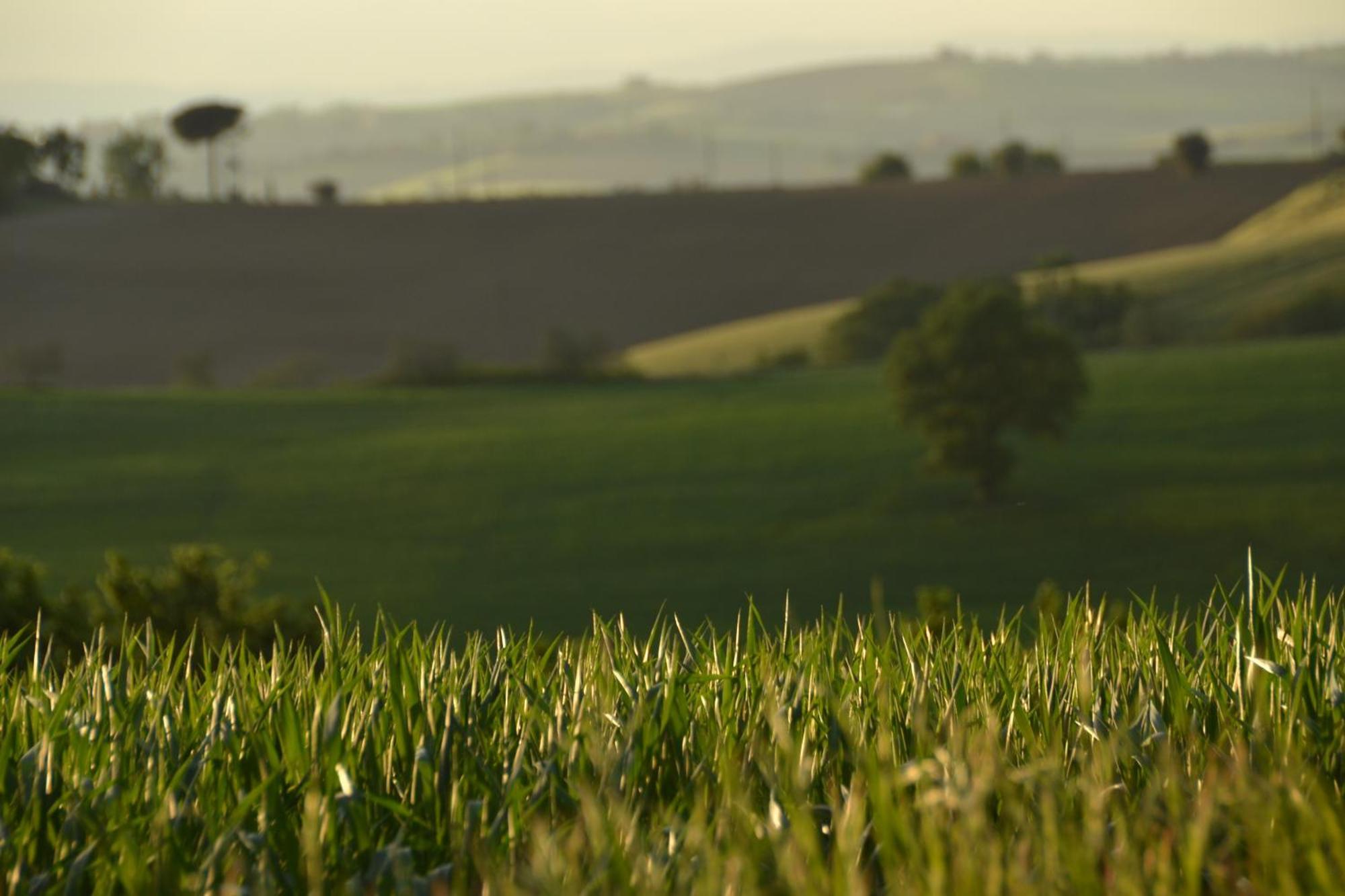 Agriturismo La Casetta Del Sole Villastrada  Zewnętrze zdjęcie